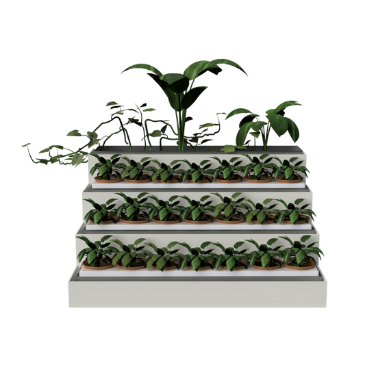 Farmwall Biosteps