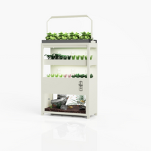 Load image into Gallery viewer, Farmwall Workplace Wellbeing Subscription - Monthly