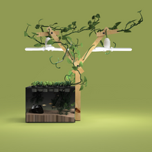 Load image into Gallery viewer, Farmwall Pocket Y-Frame Wellness Starter – Monthly