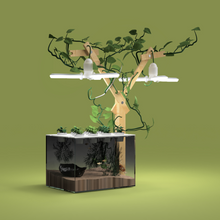 Load image into Gallery viewer, Farmwall Pocket Y-Frame Wellness Starter – Monthly