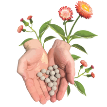 Load image into Gallery viewer, 2025 Biodiversity Challenge - Seed Bomb Kit