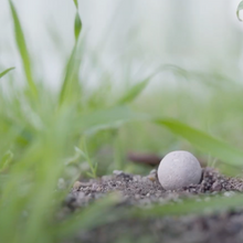 Load image into Gallery viewer, 2025 Biodiversity Challenge - Seed Bomb Kit