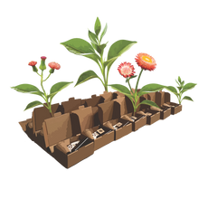 Load image into Gallery viewer, 2025 Biodiversity Challenge - Seed Bomb Kit