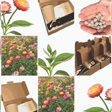Load image into Gallery viewer, 2025 Biodiversity Challenge - Seed Bomb Kit