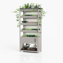 Load image into Gallery viewer, Farmwall Workplace Wellbeing Subscription - Monthly