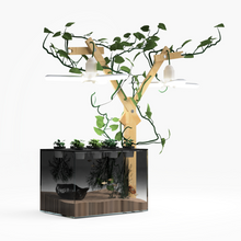 Load image into Gallery viewer, Farmwall Pocket Y-Frame Wellness Starter – Monthly