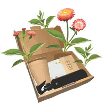 Load image into Gallery viewer, 2025 Biodiversity Challenge - Seed Bomb Kit