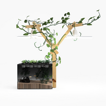 Load image into Gallery viewer, Farmwall Pocket Y-Frame Wellness Starter – Monthly