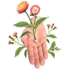 Load image into Gallery viewer, 2025 Biodiversity Challenge - Seed Bomb Kit