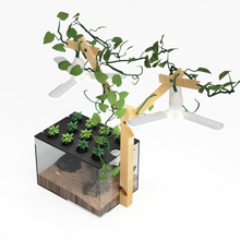 Load image into Gallery viewer, Farmwall Pocket Y-Frame Wellness Starter – Monthly