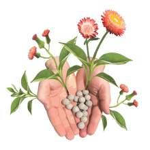 Load image into Gallery viewer, 2025 Biodiversity Challenge - Seed Bomb Kit