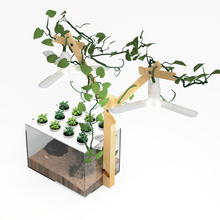 Load image into Gallery viewer, Farmwall Pocket Y-Frame Wellness Starter – Monthly