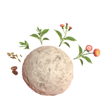 Load image into Gallery viewer, 2025 Biodiversity Challenge - Seed Bomb Kit