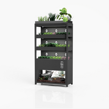 Load image into Gallery viewer, Farmwall Workplace Wellbeing Subscription - Monthly