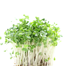 Load image into Gallery viewer, Sustainability Engagement Kit