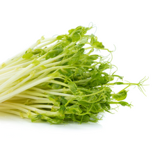 Load image into Gallery viewer, Sustainability Engagement Kit