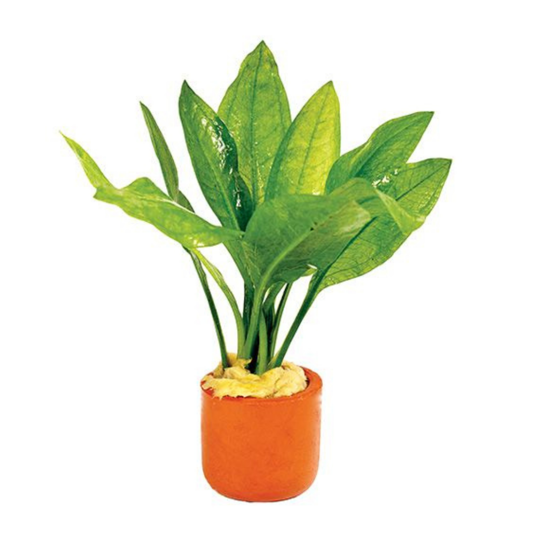 Farmwall Water Plants