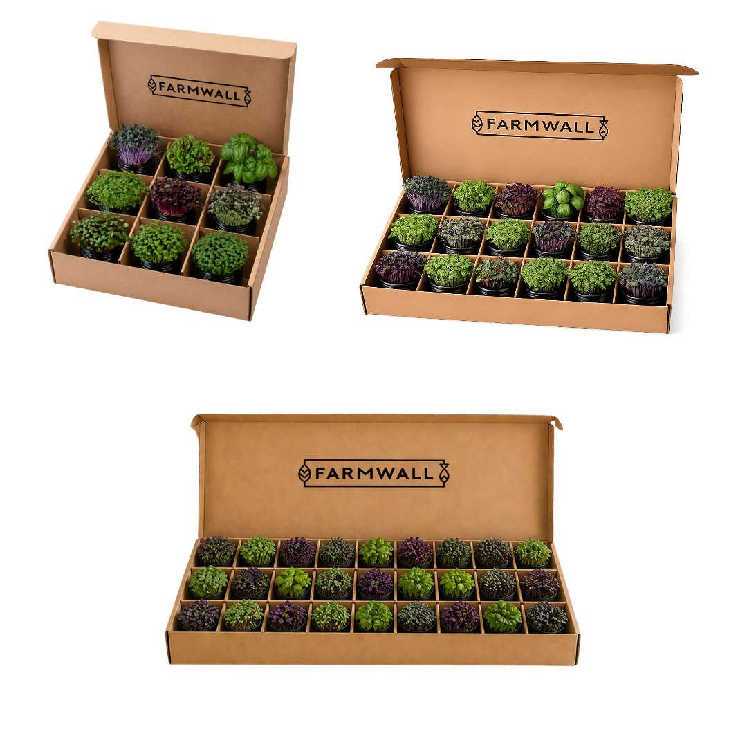 Farmwall Run