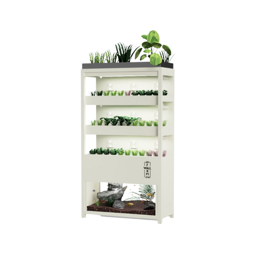 Workplace Farmwall Subscription