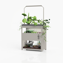 Load image into Gallery viewer, Farmwall Workplace Wellbeing Subscription - Monthly
