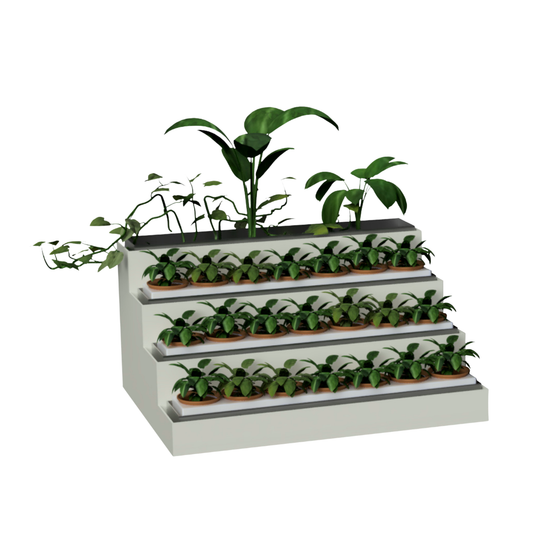 Farmwall Biosteps