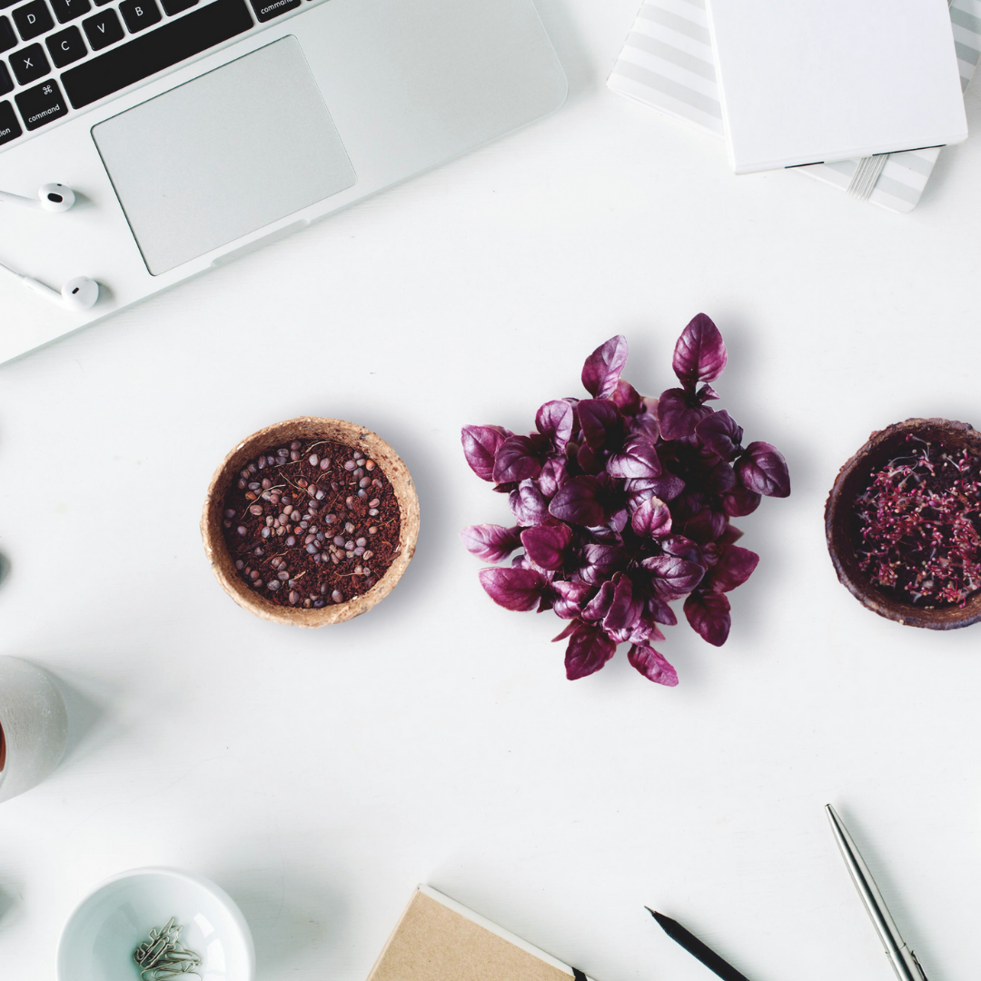 Sustainability Engagement Kit
