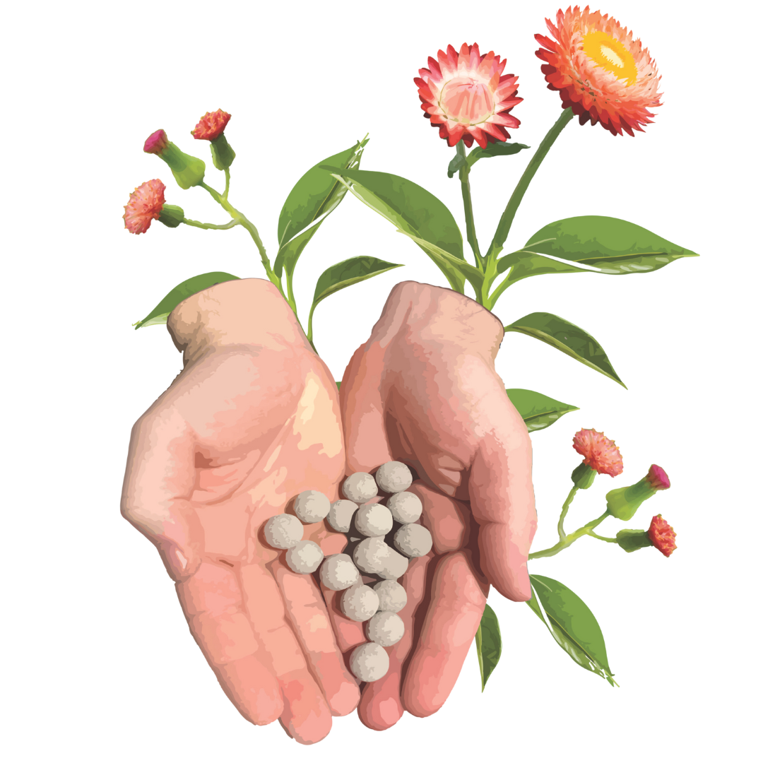Biodiversity Seed Bomb Kit