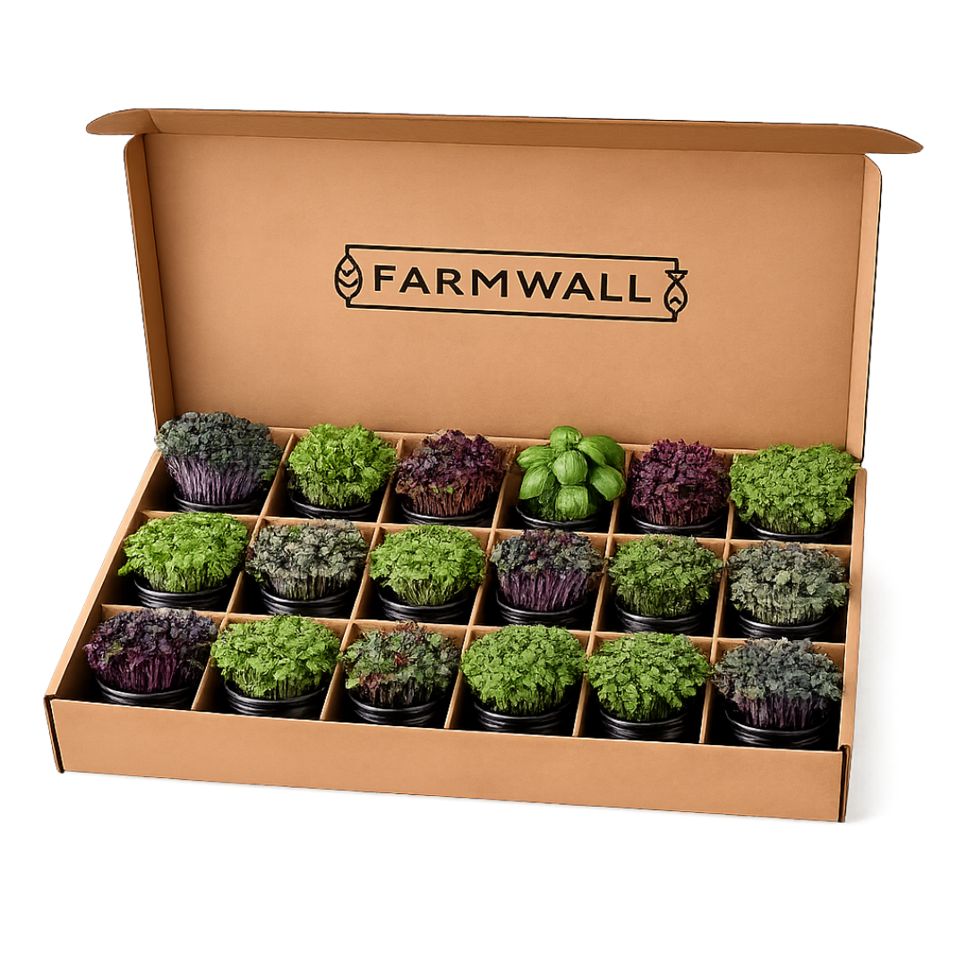 Farmwall Run - The Daily Run