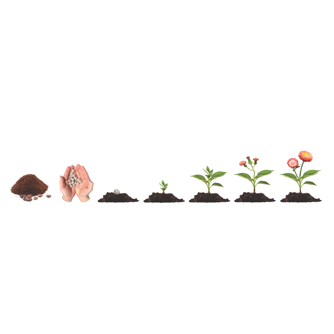 Biodiversity Seed-Bombs - Workshop/Incursion