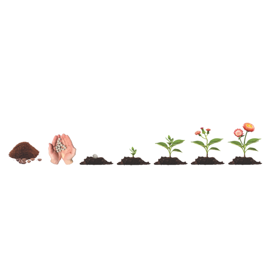 Biodiversity Seed-Bombs - Workshop/Incursion