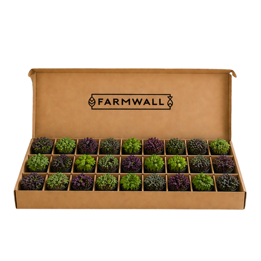 Farmwall Run - The Full Run