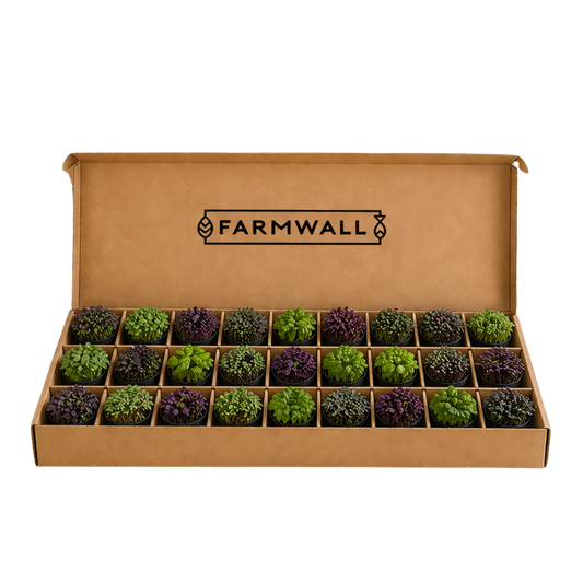 Farmwall Run - The Full Run