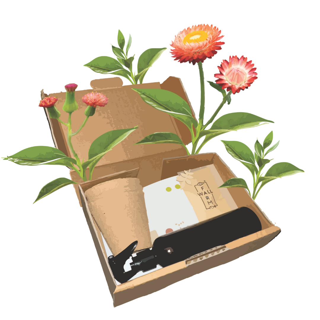 Biodiversity Seed Bomb Kit