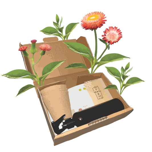 Biodiversity Seed Bomb Kit