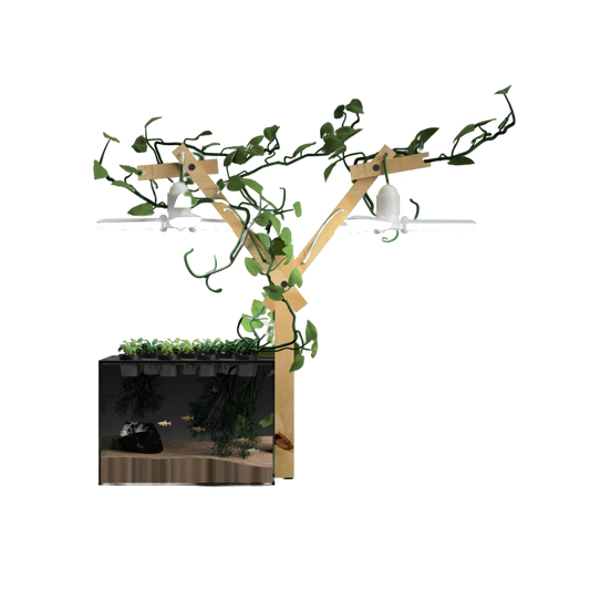 Farmwall Pocket Y-Frame Wellness Starter