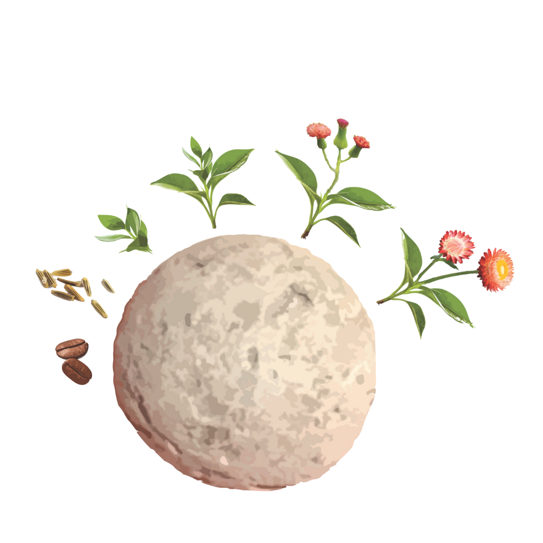 Biodiversity Seed Bomb Kit