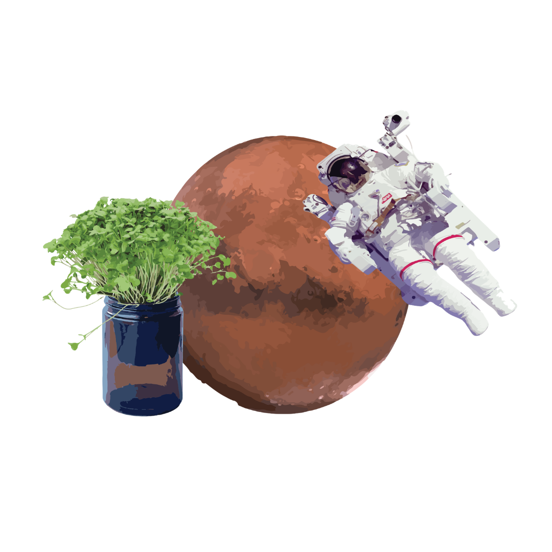 Space Farming Astronauts - Workshop/ Incursion