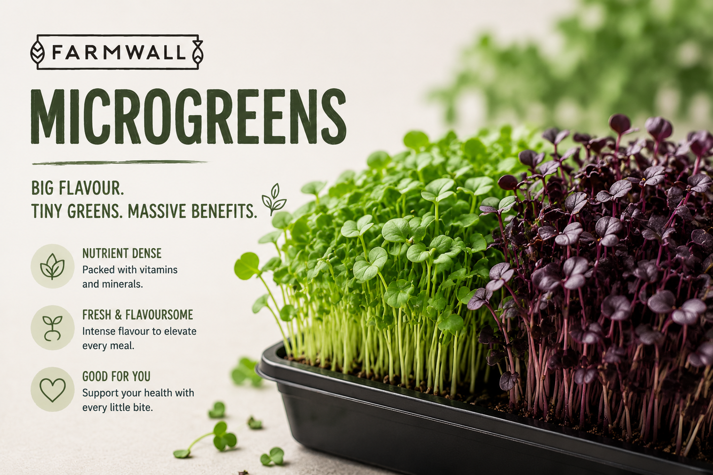 Serve of Microgreens x3