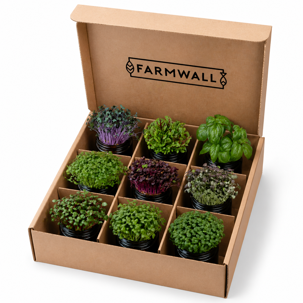 Farmwall Run - The Starter Run