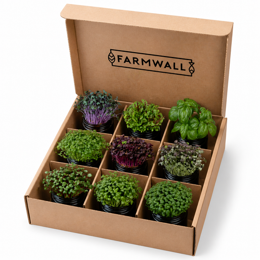 Farmwall Run - The Starter Run