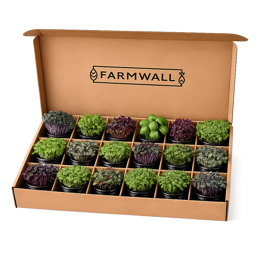Farmwall Run - The Daily Run