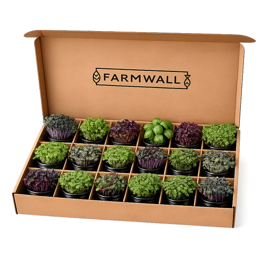 Farmwall Run - The Daily Run