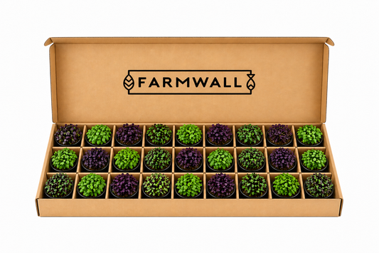 Farmwall Run - The Full Run