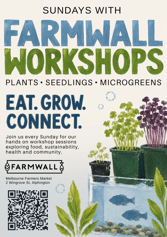 Sundays with Farmwall Workshops
