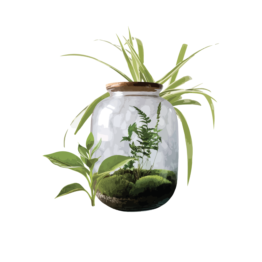 Terrarium Builders - Workshop/ Incursion