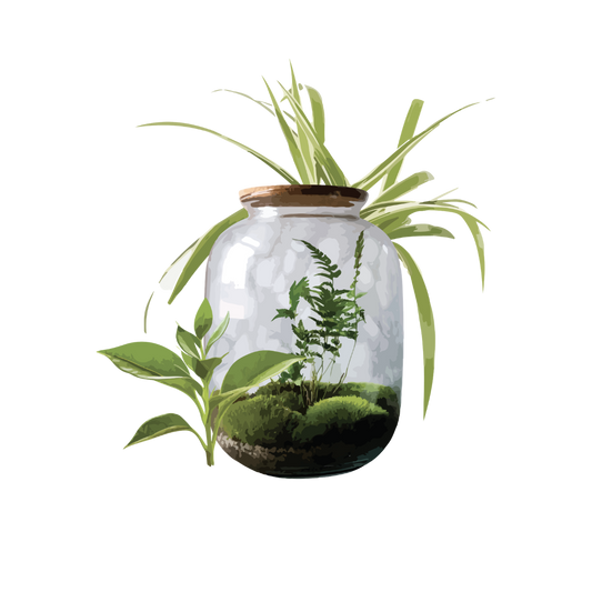 Terrarium Builders - Workshop/ Incursion