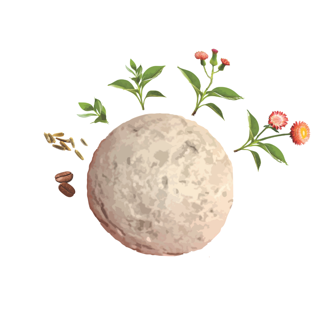 Biodiversity Seed-Bombs - Workshop/Incursion
