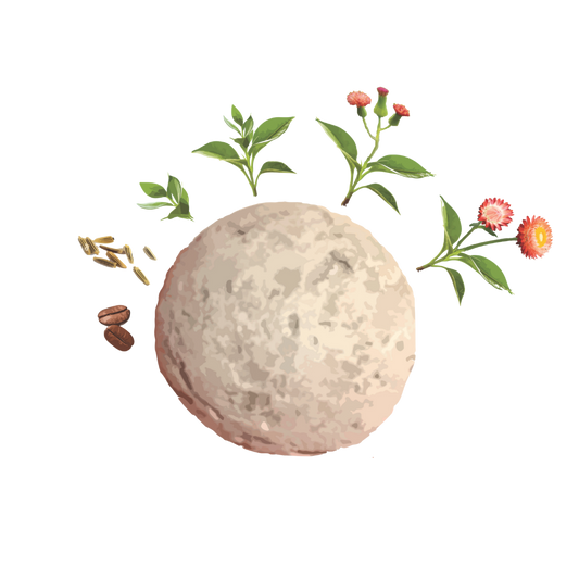 Biodiversity Seed-Bombs - Workshop/Incursion