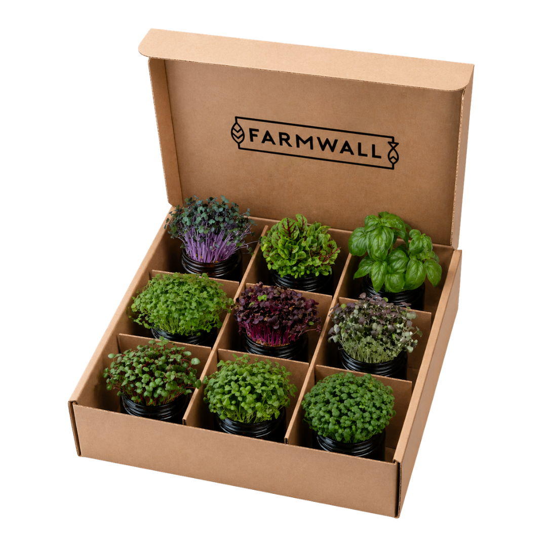 Farmwall Run - The Starter Run
