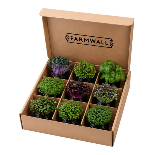 Farmwall Run - The Starter Run